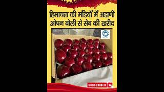 Direct Market |  Adani | Buy Apples |