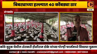 संगमनेर - बिबट्याच्या हल्ल्यात ४० कोंबड्या ठार, कोठे बुद्रुक येथील घटना