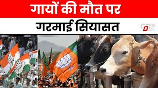 Raipur में गायों की मौत के बाद सियासत तेज, बीजेपी ने कांग्रेस पर लगाए गंभीर आरोप || Khabar Fast ||