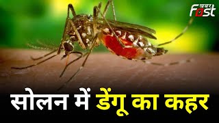 Himachal Pradesh के Solan में मंडराया Dengue का खतरा, मरीजों की तादाद बढ़ी | Dengue | Congress | BJP