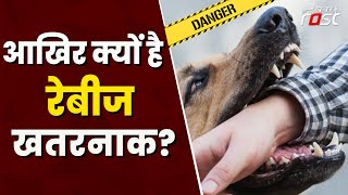 कुत्ता ही नहीं इन जानवरों से भी फैलता है Rabies, कितनी खतरनाक है यह बीमारी? | Rabies | Infection |