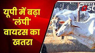 Uttar Pradesh: गोंडा में फैल रहा Lumpy Virus, अलर्ट मोड पर पशु विभाग || Khabar Fast ||
