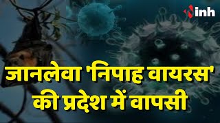प्रदेश में 'Nipah Virus' का कहर | इन 4 जिलों में अलर्ट जारी | जाने इस वायरस के लक्षण