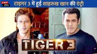 Tiger 3: Salman की Film में कुछ ऐसी होगी Shahrukh Khan की Entry,'Pathan' के Role को लेकर आई बड़ी खबर