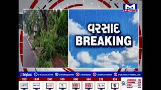 Gandhinagar : ધોધમાર વરસાદ પડતાં અનેક સેક્ટરોમાં ઝાડ ધરાશાયી | MantavyaNews
