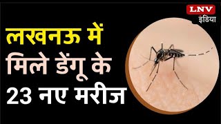 Lucknow में Dengue का कहर, एक दिन में मिले 23 नए मरीज, शहरी इलाकों में सबसे ज्यादा संक्रमित