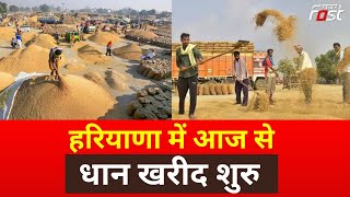 Paddy Procurement In Haryana: किसानों के लिए खुशखबरी, हरियाणा में आज से शुरु होगी धान की खरीद