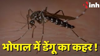 Dengue Cases: Bhopal में Dengue का कहर | दवा छिड़कवाने में जुटा स्वास्थ्य विभाग | Madhya Pradesh News