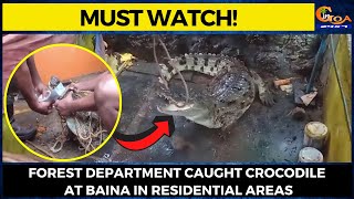 #MustWatch! Forest department caught crocodile at Baina in residential areas