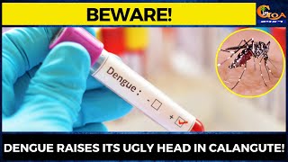 #Beware! Dengue raises its ugly head in Calangute!