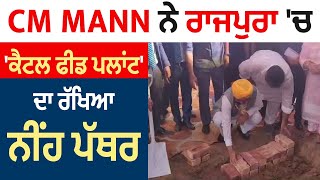 CM Mann ਨੇ ਰਾਜਪੁਰਾ 'ਚ 'ਕੈਟਲ ਫੀਡ ਪਲਾਂਟ' ਦਾ ਰੱਖਿਆ ਨੀਂਹ ਪੱਥਰ