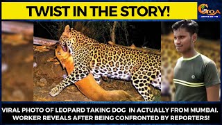 #Twist in the story! Viral photo of leopard taking dog in actually from Mumbai.