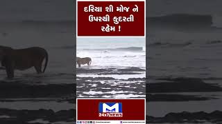 Shorts - દરિયા શી મોજ ને ઉપરથી કુદરતી રહેમ ! | MantavyaNews