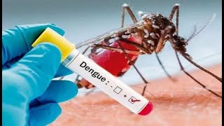 Karnatak Mein Dengue Bukhar