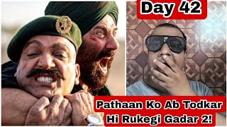 Gadar 2 Box Office Collection Day 42, Pathaan Ko Ab Todkar Hi Rukegi Gadar 2 Movie!