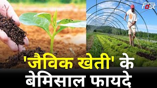 Organic Farming: दुनियाभर में बढ़ रही भारतीय जैविक उत्पादों की मांग, जानें 'जैविक खेती' के फायदे