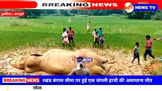 झारखंड बंगाल सीमा पर हुई एक जंगली हाथी की असामान्य मौत। जाँच में जुटे अधिकारी।