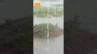 खंडवा: गुलशन नगर से लगे नाले से जन जीवन अस्त-व्यस्त, नगर के निचले इलाकों में भरा पानी viral video
