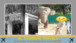 Elephant at Nehru Zoological Park injured shabaz who is animal keeper shabaz