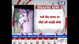 Ahmedabad:રખડતા ઢોરનો ત્રાસ યથાવત, ગાયે એક બાળક પર પીછો કરી અડફેડે લીધો| MantavyaNews