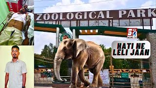 Hati Ne Kuchal Kar Mar Diya Animal Keeper Ko | Nehru Zoological Park Hyderabad | SACH NEWS |