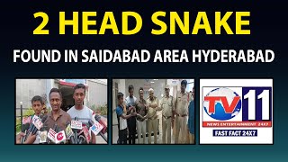 TWO HEAD SNAKE FOUND IN SAIDABAD VINAY NAGAR BASTI   SNAKE HAND OVER TO FOREST DEPARTMENT