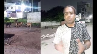 Awara Kutto Ko Lekar Awaam Aur Aleem Uddin Pareshan | Osman Bagh Hyderabad | SACH NEWS |