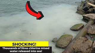 Shocking- Campal swimming pool contractor discharges thousand of liter chlorine mixed water into sea