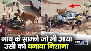 Cow | Rewari | Attack
