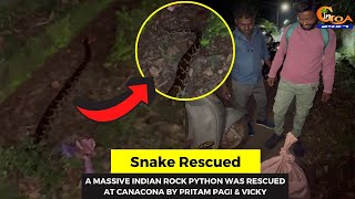 #Watch- A massive Indian rock python was rescued at Canacona by Pritam Pagi & Vicky
