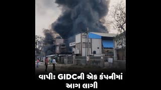 વાપી: GIDCની એક કંપનીમાં આગ લાગી