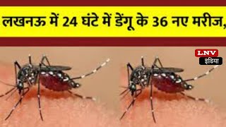 Lucknow में Dengue के 36 नए मरीज मिले, अस्पतालों में प्लेटलेट्स की मांग बढ़ी