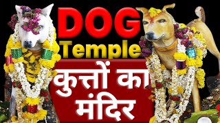 कुत्तों का मंदिर | Dog Temple | Dog Lover | Dog Temple Story | Animal Temple | Animal Lover | KKD