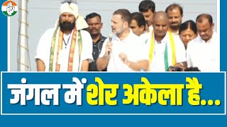 'जंगल के एक कोने में एक शेर, दूसरे कोने में दूसरा शेर लेकिन'... | Rahul Gandhi | Telangana Election