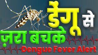 डेंगू से सावधान | Dengue Treatment | Dengue Case | Dengue Latest News in Hindi | KKD News