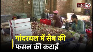 गांदरबल में स्वादिष्ट सेब की फसल की कटाई | Janta TV