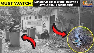 Dangui Colony is grappling with a severe public health crisis