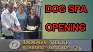 Dogs Daycare Opening | విజయవాడ లో డాగ్స్ కోసం | @smedia #dogs #spa