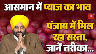 Diwali से पहले तेजी से बढ़े Onion के दाम, Punjab Govt ने दी राहत, सस्ता किया प्याज | Bhagwant Mann