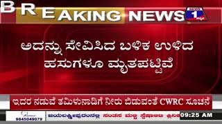 ವಿಷಪೂರಿತ ಆಹಾರ ಸೇವಿಸಿ 4 ರಾಸುಗಳು ಸಾವು | @News1Kannada | Mysuru