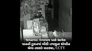 જામનગર: ગંગાવાવ પાસે આવેલ પાનની દુકાનમાં બીડી-તમાકુના શોખીન એવા તસ્કરો ત્રાટક્યા, CCTV