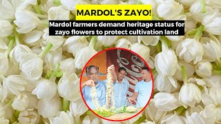 Mardol's Zayo!Mardol farmers demand heritage status for zayo flowers to protect cultivation land