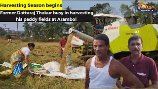 Harvesting Season begins- Farmer Dattaraj Thakur busy in harvesting his paddy fields at Arambol