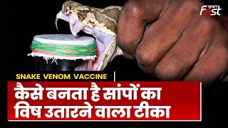 Snake Venom: कैसे बनता है Snake का जहर उतारने वाला टीका, क्या है इसका Horse से कनेक्शन? | Venom |