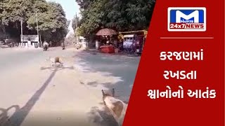 વડોદરા: કરજણમાં રખડતા શ્વાનોનો આતંક, 10 દિવસમાં 22 લોકોને રખડતા શ્વાને ભર્યા બચકા | MantavyaNews