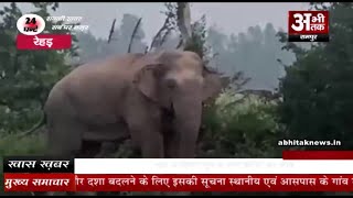 खेत पर जा रहे किसानो का जंगली हाथी ने रोका रास्ता #bijnor #hathi #news #viral