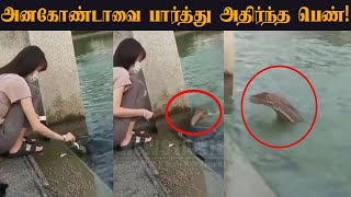 குளத்தில் அனகோண்டாவை ???? பார்த்து அதிர்ந்த பெண்! | Woman shocked seeing anaconda in pool