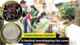 'Gorvancho Padwo'- A festival worshipping the cows