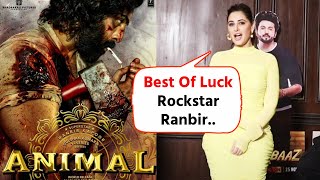 Rockstar Fame Nargis Fakhri Reaction On Ranbir Kapoor's Animal