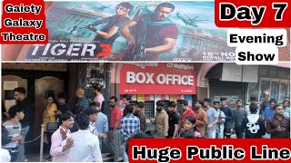 Tiger 3 Movie Huge Public Line Day 7 Evening Show At Gaiety Galaxy Theatre In Mumbai